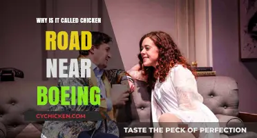Unraveling the Mystery: Why 'Chicken Road' Near Boeing Exists