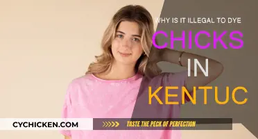 Kentucky's Chick Dyeing Ban: Why It's Illegal