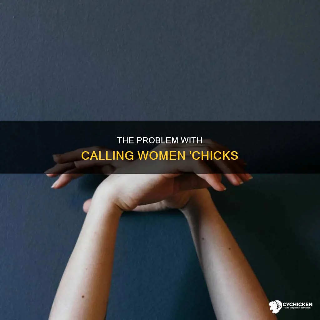 why is it offensive to call a woman chick