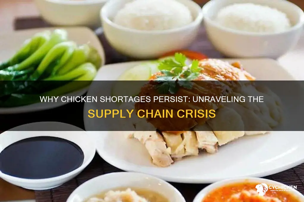 why is it so hard to find chicken