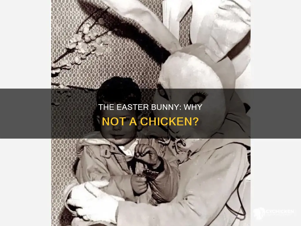 why is it the easter bunny and not a chicken