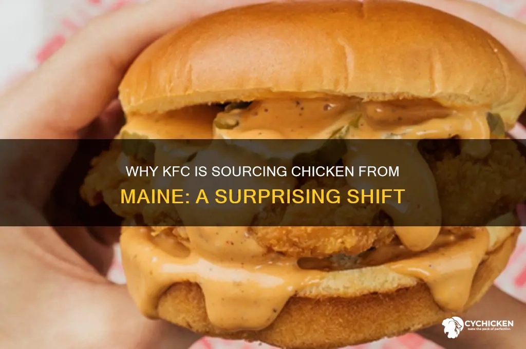 why is kfc buying chicken from maine
