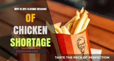 KFC Chicken Shortage Crisis: Why Stores Are Closing Nationwide