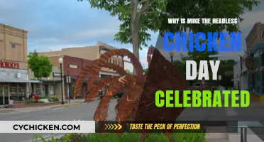 Mike the Headless Chicken Day: Celebrating an Improbable Survival Story