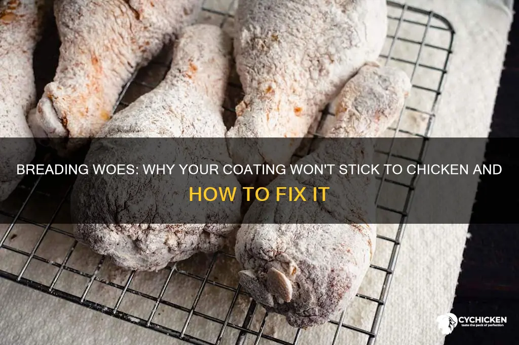 why is my breading not sticking to chicken