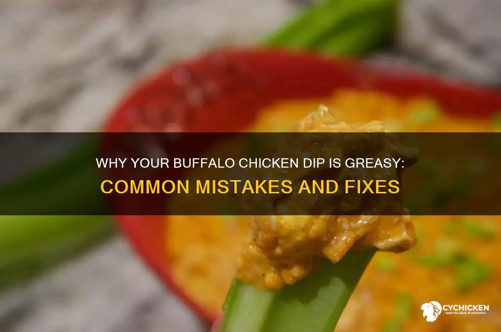 why is my buffalo chicken dip greasy
