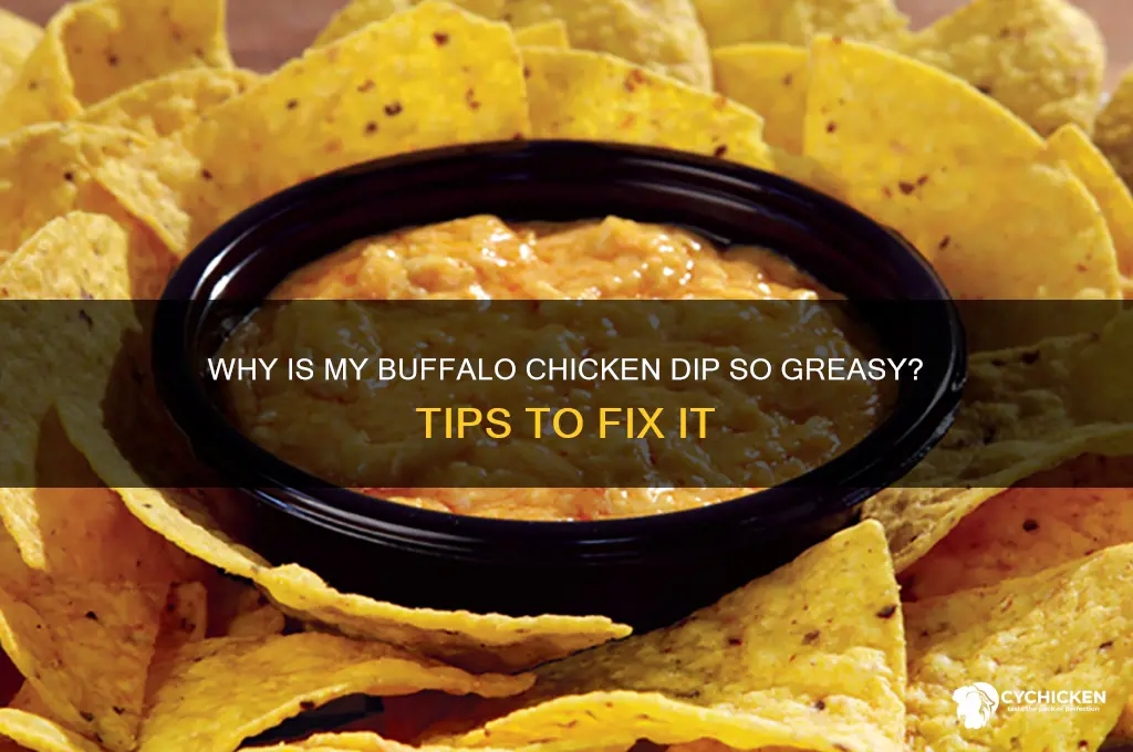 why is my buffalo chicken dip so greasy