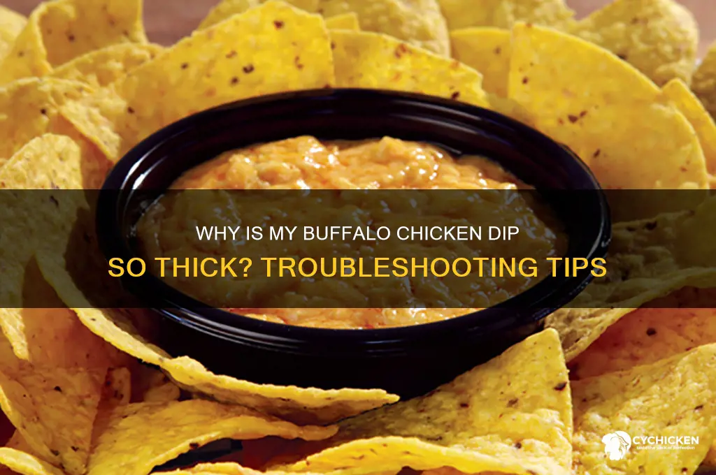 why is my buffalo chicken dip so thick