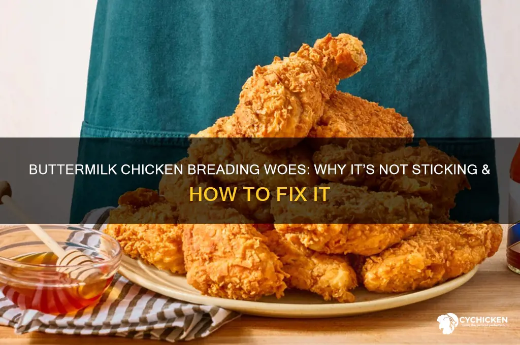 why is my buttermilk chicken breading not sticking