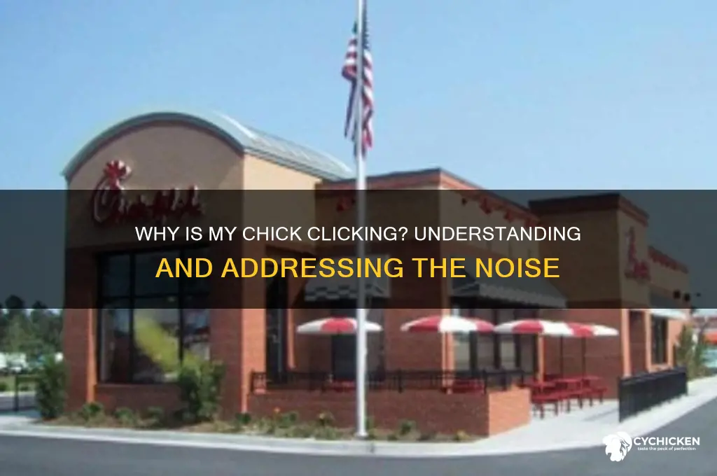 why is my chick making a clicking noise