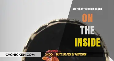 Why Is My Chicken Black Inside? Causes and Solutions Explained