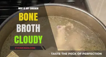 Clarifying Cloudy Chicken Bone Broth: Tips for a Clearer Stock