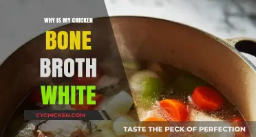 The Mystery of the Milky Broth: Why Is My Chicken Bone Broth White?