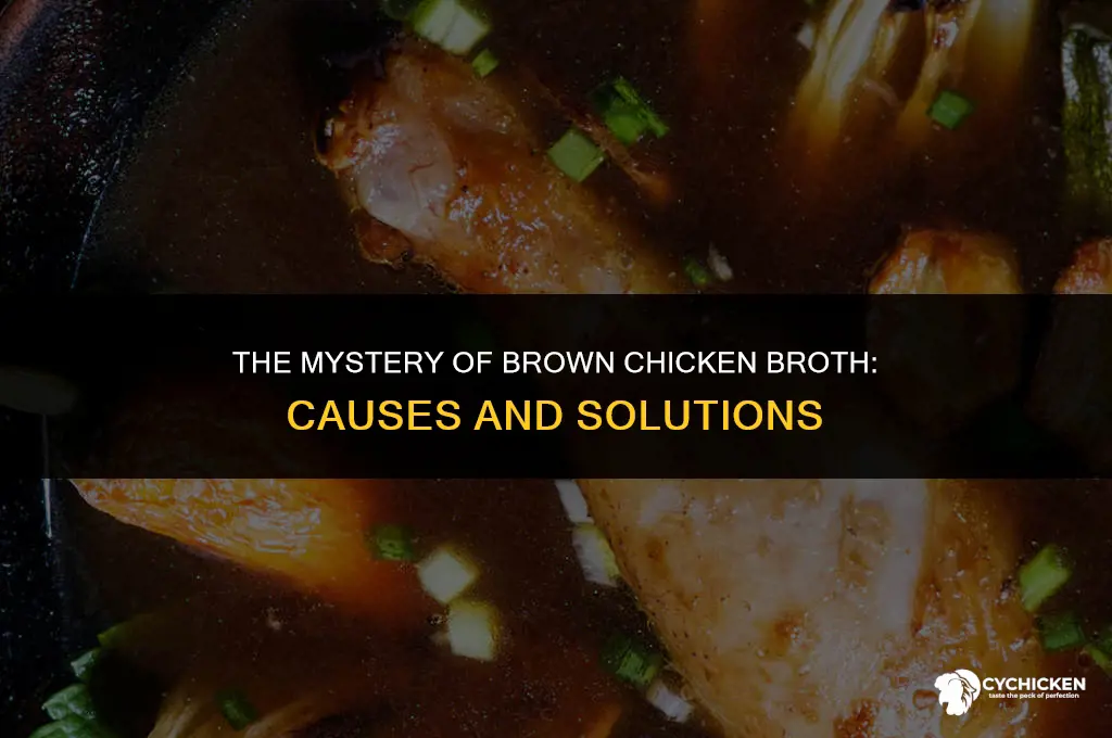 why is my chicken broth brown