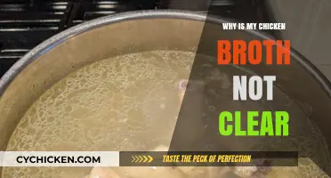 Clarifying Chicken Broth: Tips for a Crystal-Clear Consommé