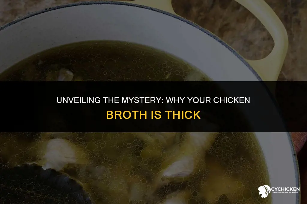 why is my chicken broth thick