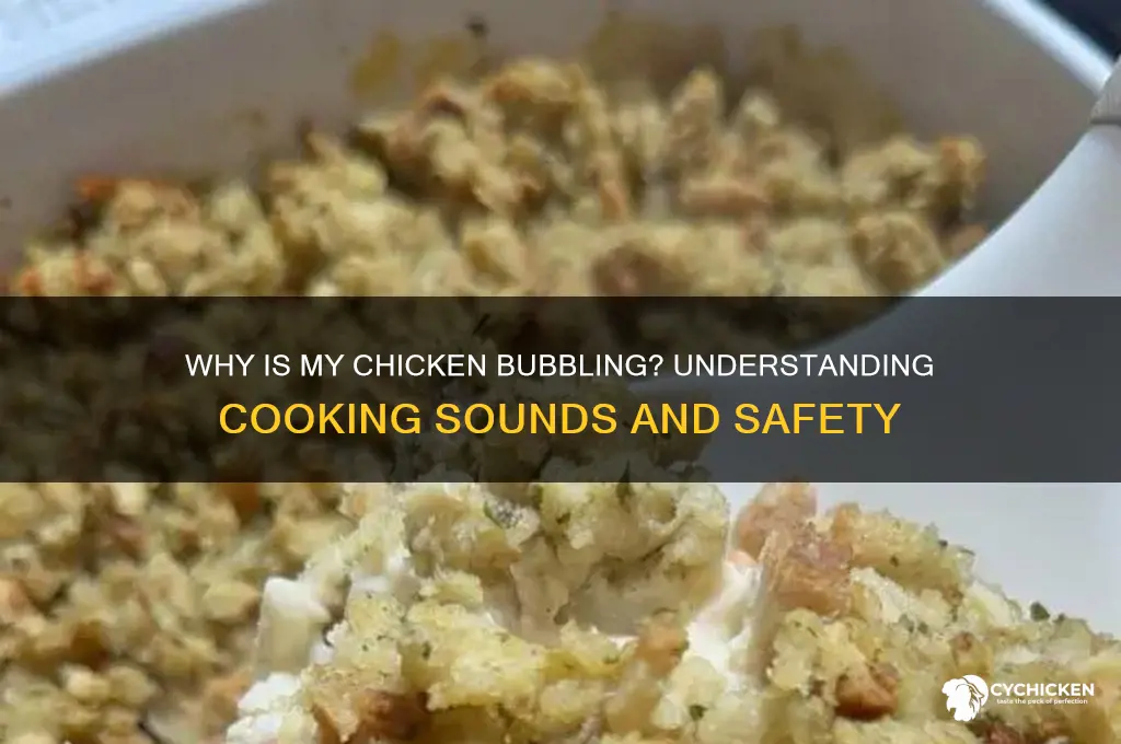 why is my chicken bubbling on the stove