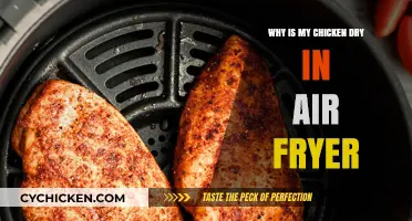 Avoid Dry Air Fryer Chicken: Simple Tips for Juicy Results