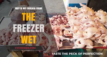 Why Is My Frozen Chicken Wet? Causes and Solutions Explained