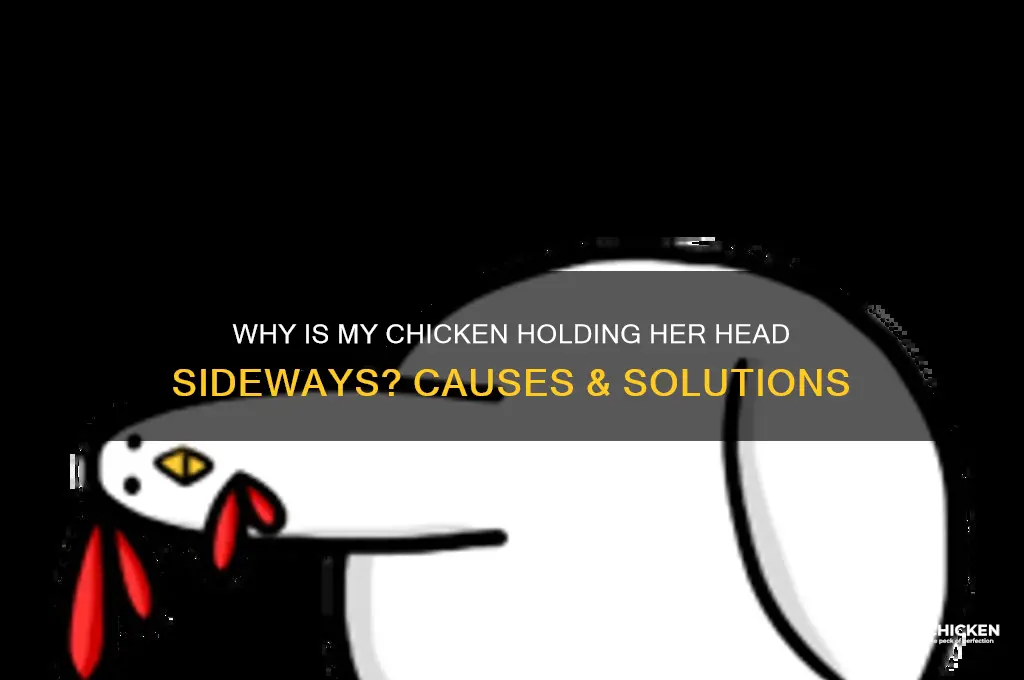 why is my chicken holding her head sideways