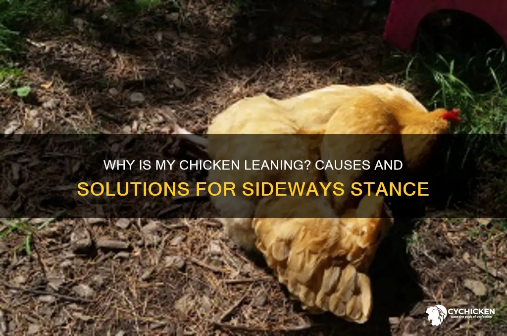 why is my chicken leaning to one side