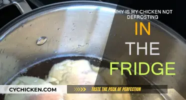 Defrosting Chicken: Why Isn't It Working in the Fridge?