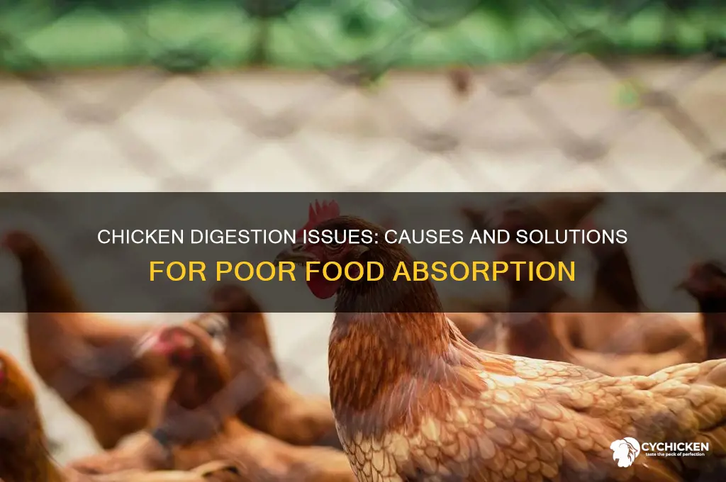 why is my chicken not digesting food properly