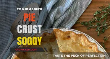Solving the Soggy Crust Mystery: Tips for Perfect Chicken Pot Pie