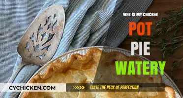 Solving the Mystery: Why Is My Chicken Pot Pie Watery?