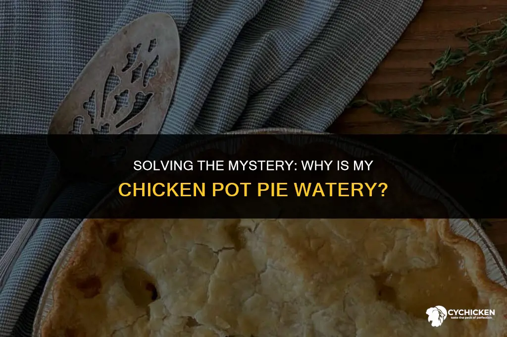 why is my chicken pot pie watery