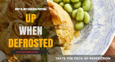Why Defrosted Chicken Puffs Up: Causes and Solutions Explained