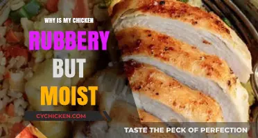 Rubbery Chicken, Moist Texture: Causes and Fixes for Perfect Poultry