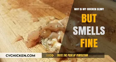 Is Slimy Chicken Safe? Understanding Texture vs. Smell in Poultry