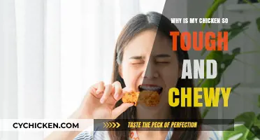 Why Your Chicken is Tough: Common Mistakes and Easy Fixes