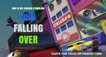 Chicken Stumbling and Falling: Causes, Solutions, and Prevention Tips