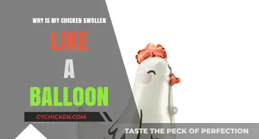 Why Is My Chicken Swollen Like a Balloon?