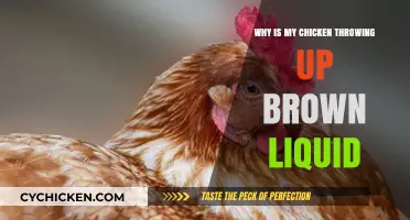 Understanding Why Your Chicken is Vomiting Brown Liquid: Causes and Solutions