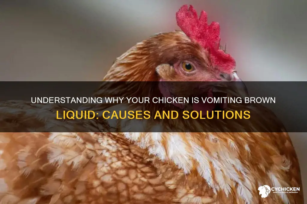 why is my chicken throwing up brown liquid