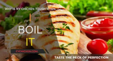 Boiled Chicken Toughness: What Went Wrong?