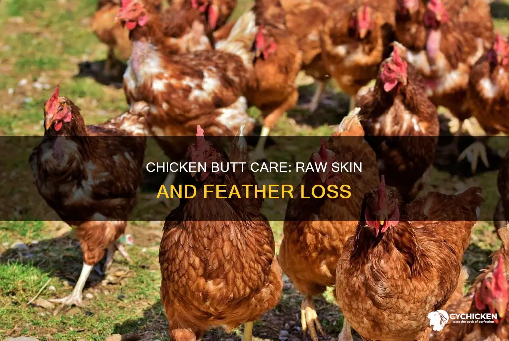 why is my chicken