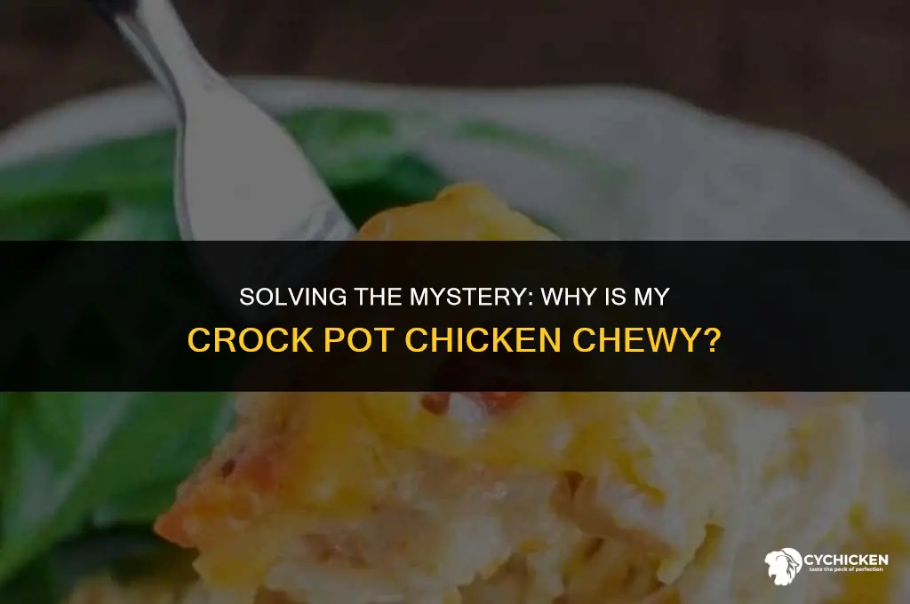 why is my crock pot chicken chewy