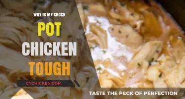 Why Is My Crock Pot Chicken Tough? Tips for Tender Meals