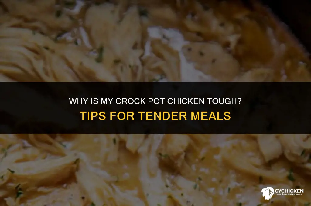 why is my crock pot chicken tough