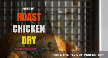 Why Your Roast Chicken is Dry: Common Mistakes and Fixes