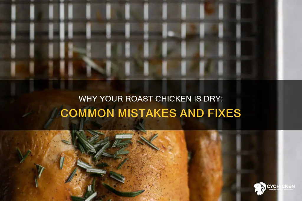 why is my roast chicken dry
