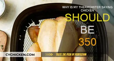 Thermometer Basics: Chicken Temperature Perfection