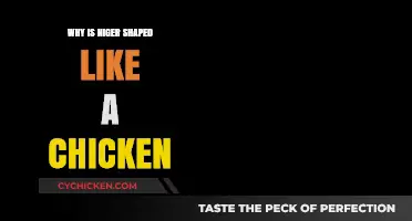 Geography Unveiled: The Surprising Chicken-Like Shape of Niger