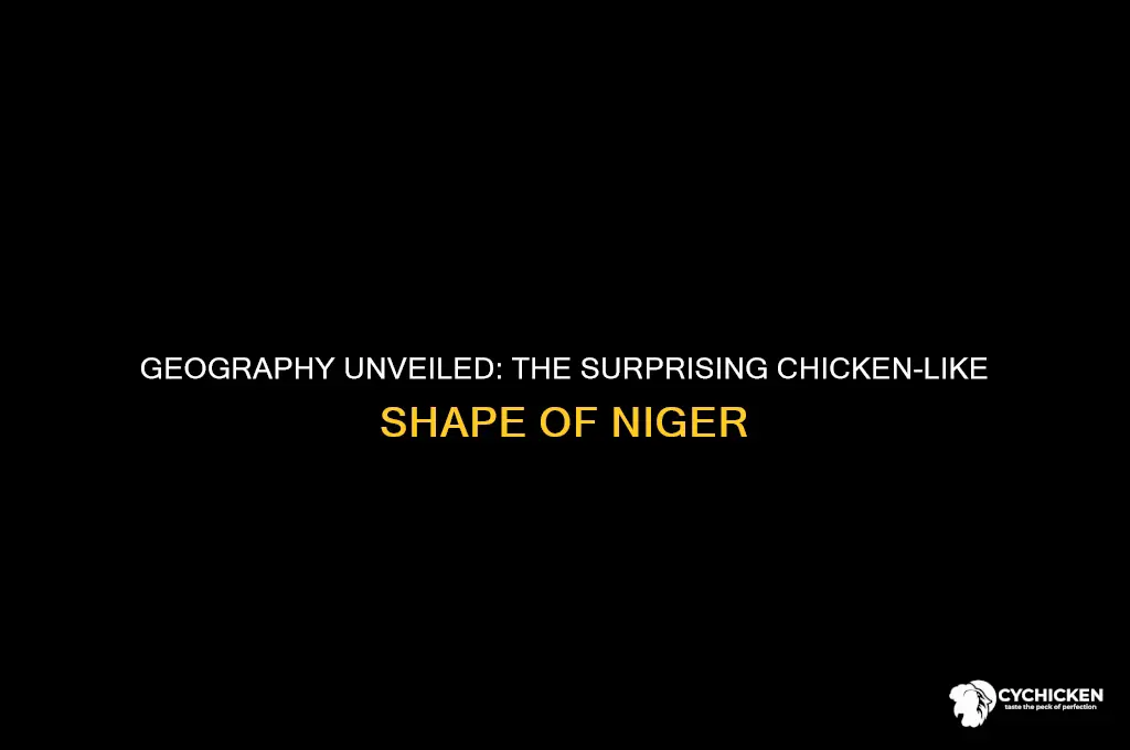 why is niger shaped like a chicken