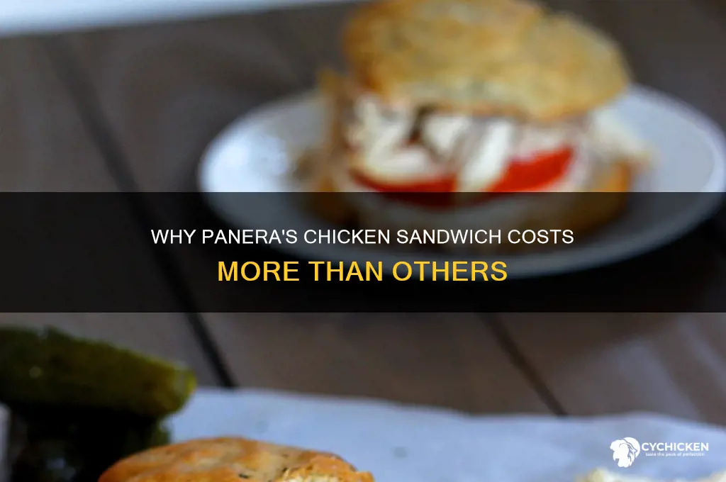 why is panera chicken sandwich so expensive