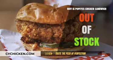 Popeyes Chicken Sandwich Shortage: Causes and Consumer Frustration Explained